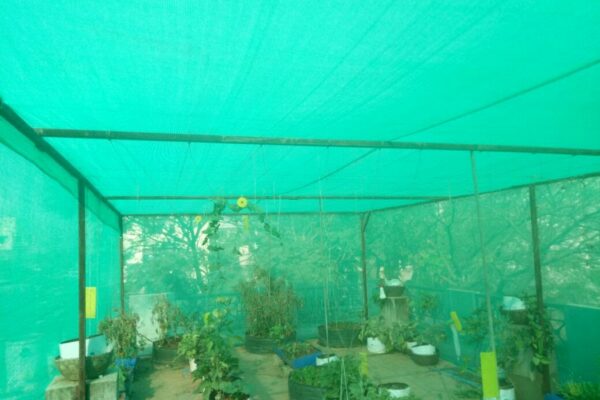 Shade Nets Online Charges In Bangalore Call 9900767340 For Same Day Installation