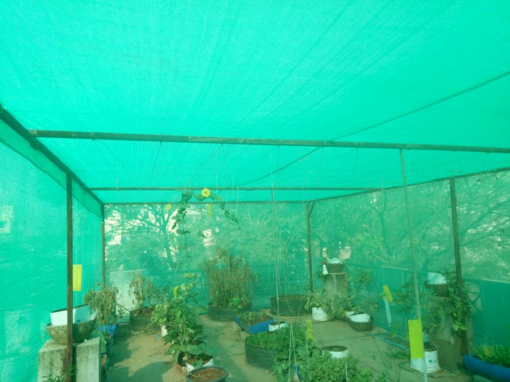Shade Nets Online Charges In Bangalore Call 9900767340 For Same Day Installation